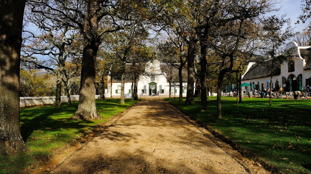 Groot Constantia Wine Estate - Accommodations in Cape Town