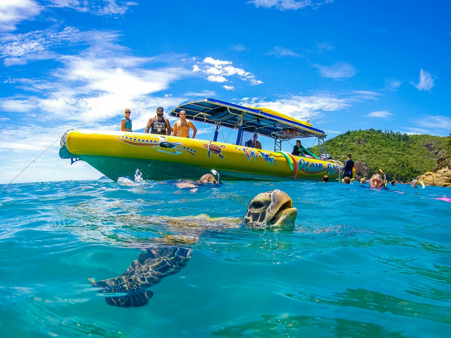 A yellow boat on clear blue water with people onboard. A sea turtle is swimming in the foreground.
