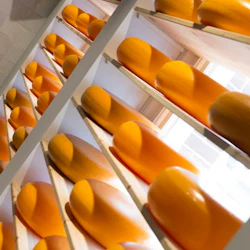 Hyllor fyllda med runda, gula osthjul, staplade bredvid ett fönster med ljus som strömmar igenom.