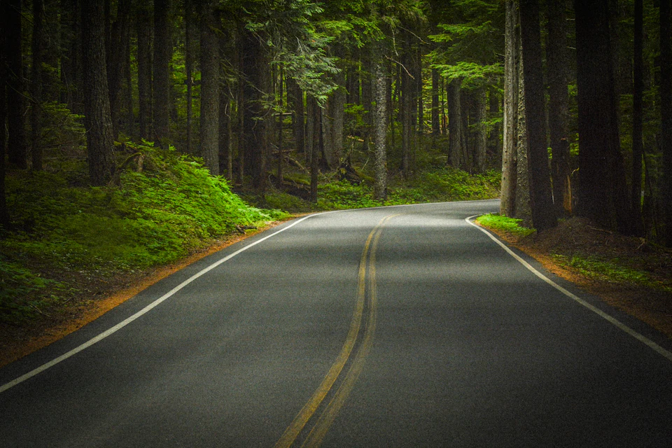 A winding road with double yellow lines curves through a dense, green forest.