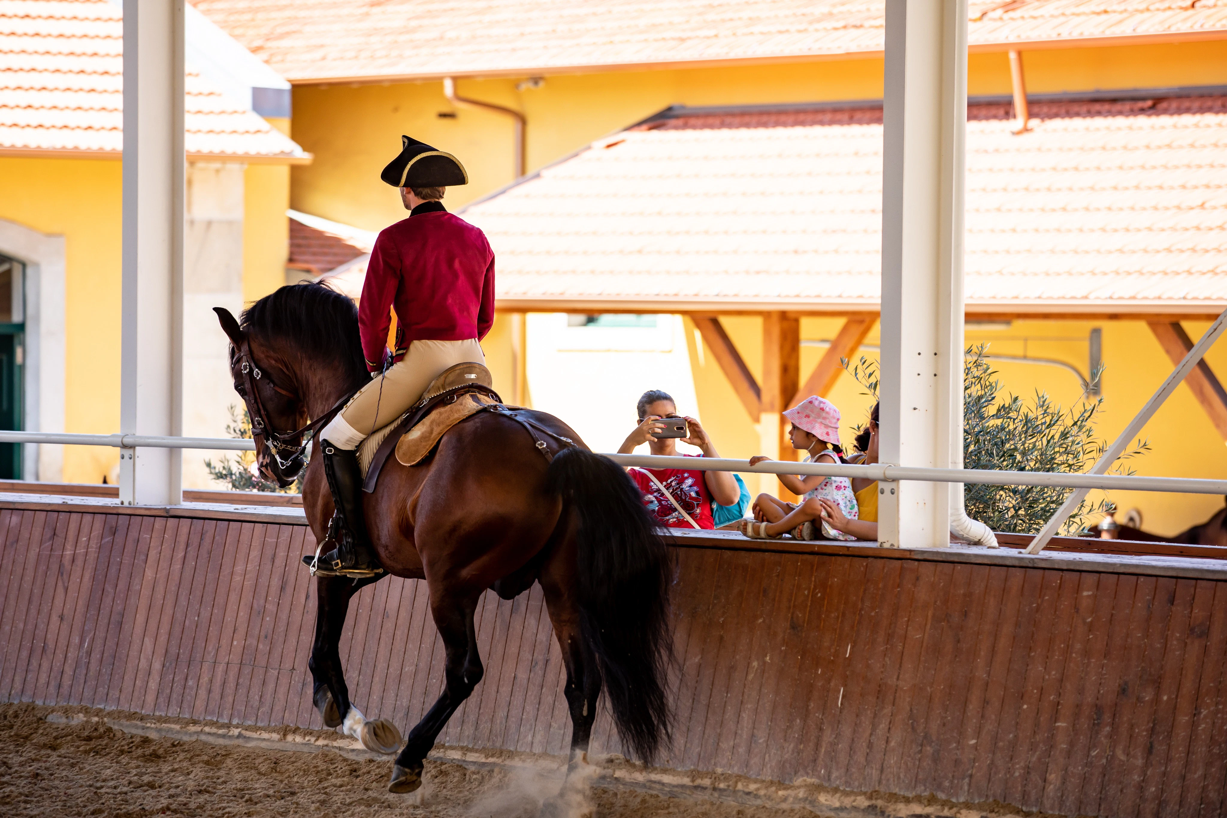 Portuguese School of Equestrian Art: Morning Training