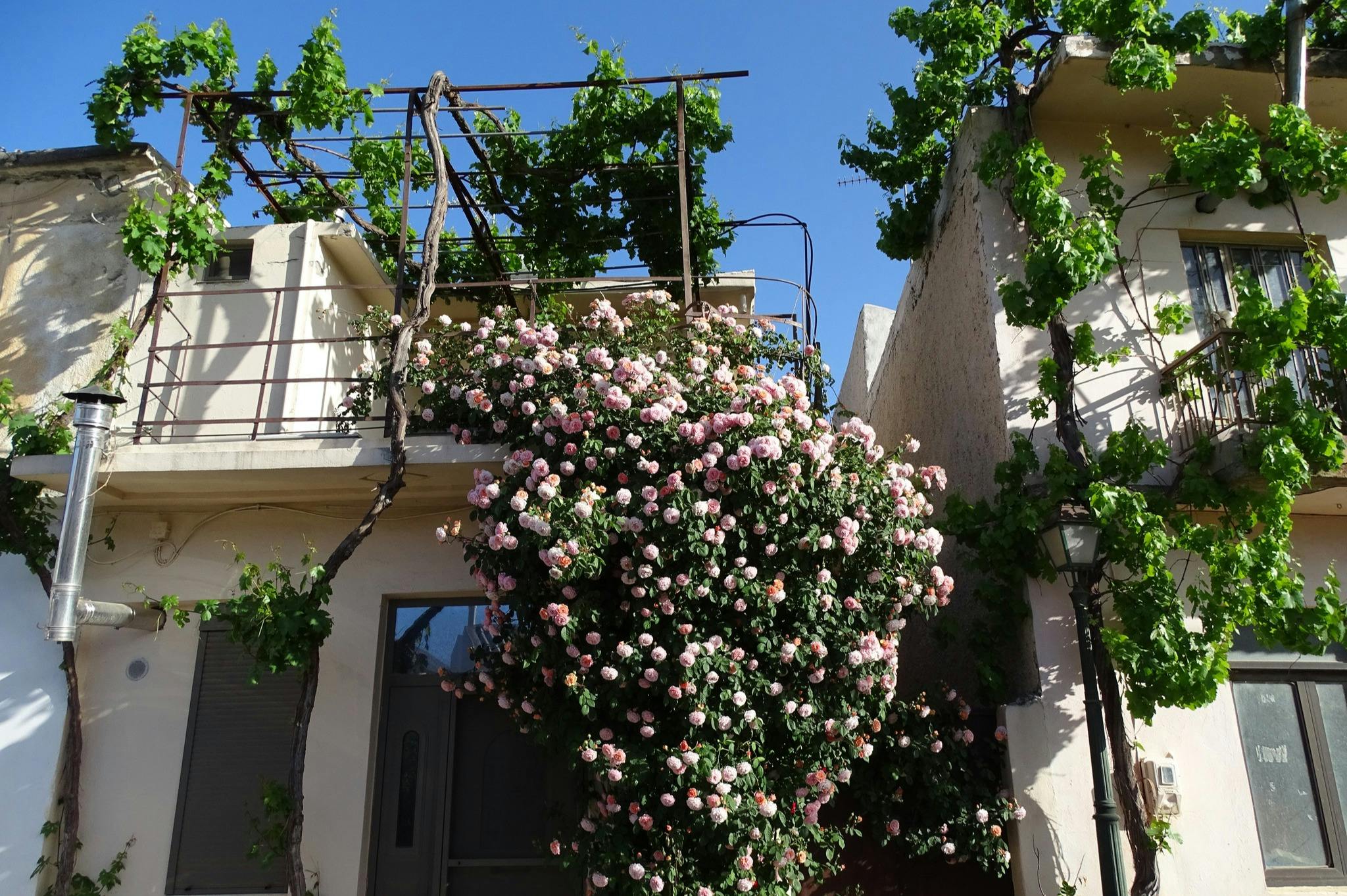 ラシティ高原の一軒家