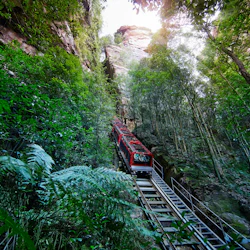 Blue Mountains: All-Inclusive Tour from Sydney with Sydney Zoo & Scenic World 3