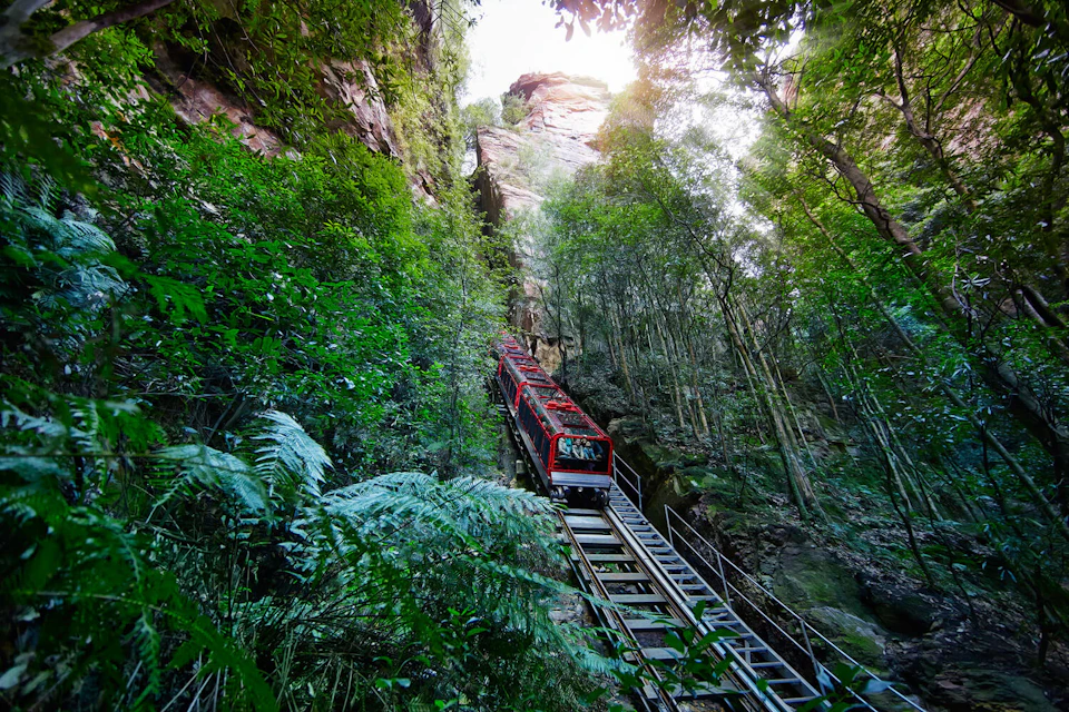 A steep red and black railcar ascends through a lush, narrow forested gorge with cliffs on either side.
