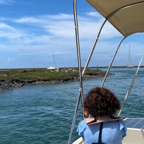Ria Formosa: Passeio de barco ecológico solar a partir de Faro - Photo 2