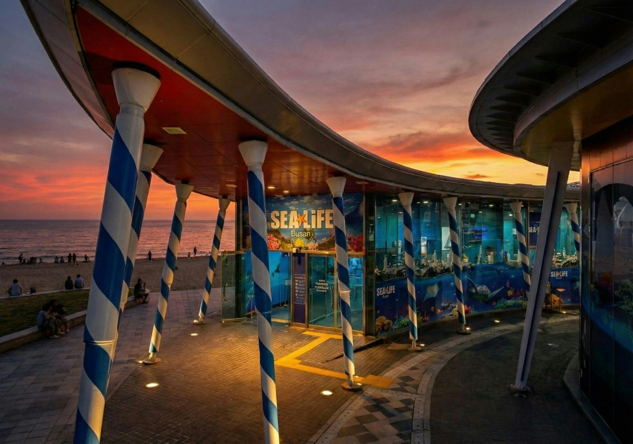 Busan: SEA LIFE Aquarium Admission with Photo Shoot