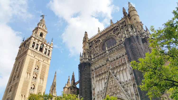 Catedral de Sevilla y La Giralda: Sin colas billete - 5