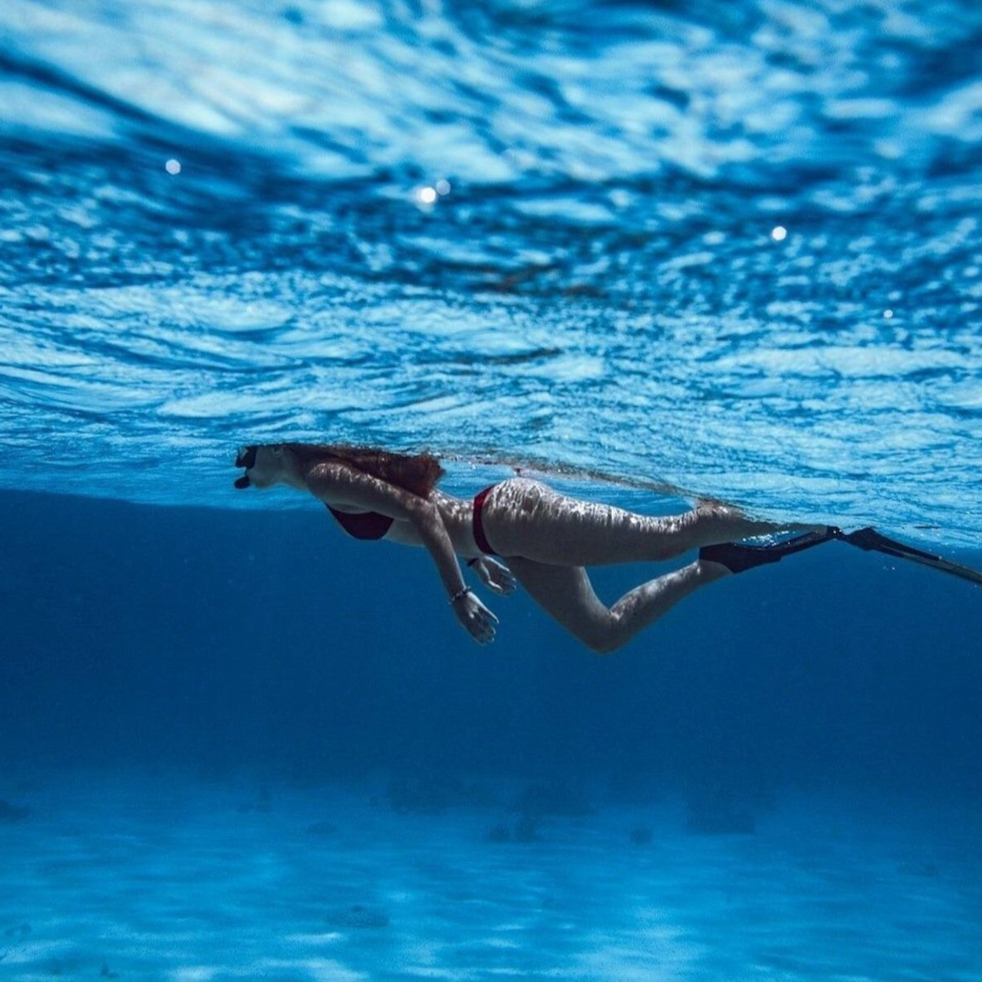 Cap de Creus: Creuer en catamarà des de Roses + Parada per nedar + Audioguia