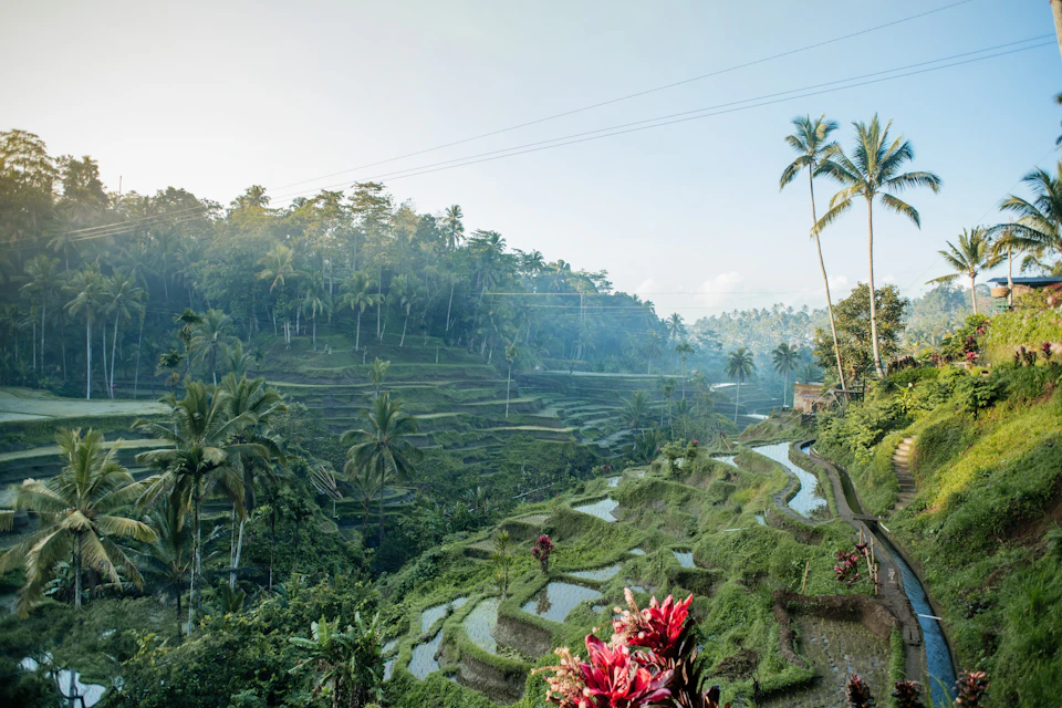 Admire the lush, green rice terraces of Tegalalang, ideal for Instagram-worthy shots.