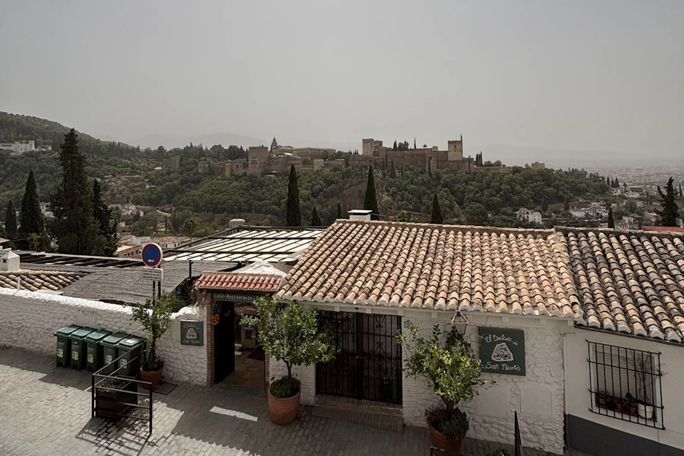 Rooftop view of a terracotta-tiled building with signboards, potted plants, and a tree-covered hill with a historic fortress in the background.