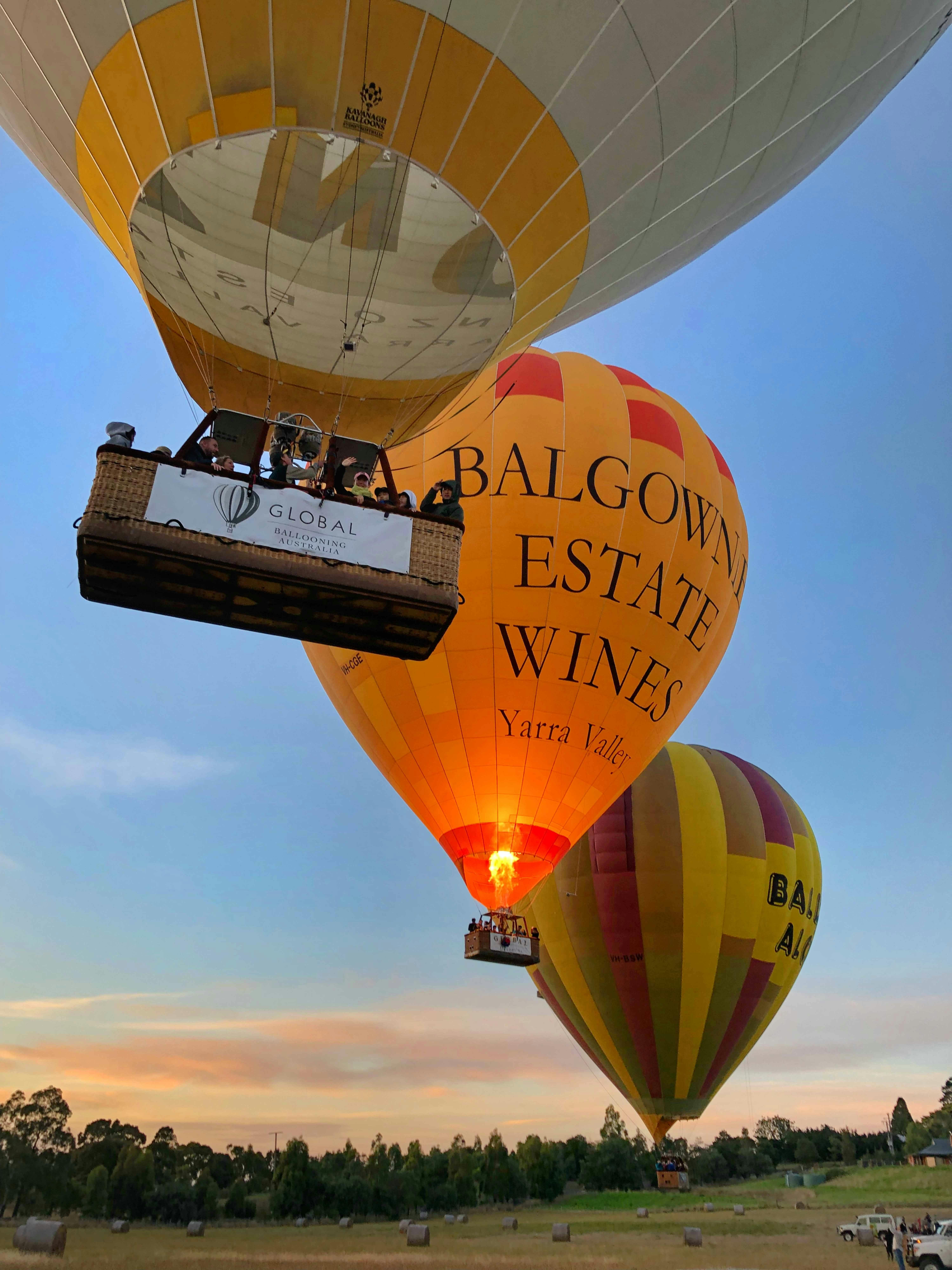 Several hot air balloons ascend into the sky at sunset, with one prominently displaying "Balgownie Estate Wines Yarra Valley."