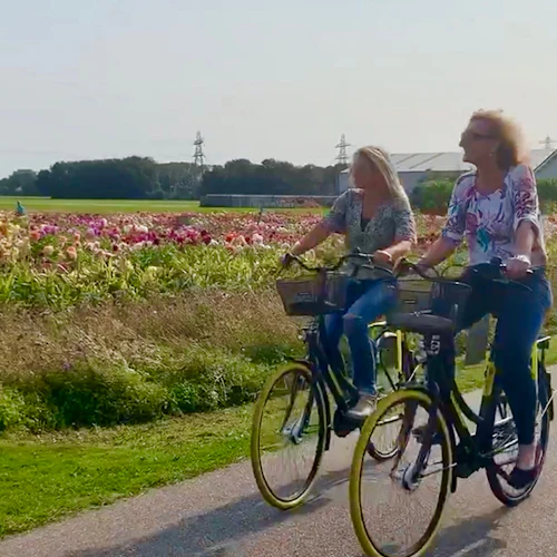 Região dos bulbos: Jardins de Dália, Moinhos de Vento e Passeio de Bicicleta pelo Castelo - Photo 2