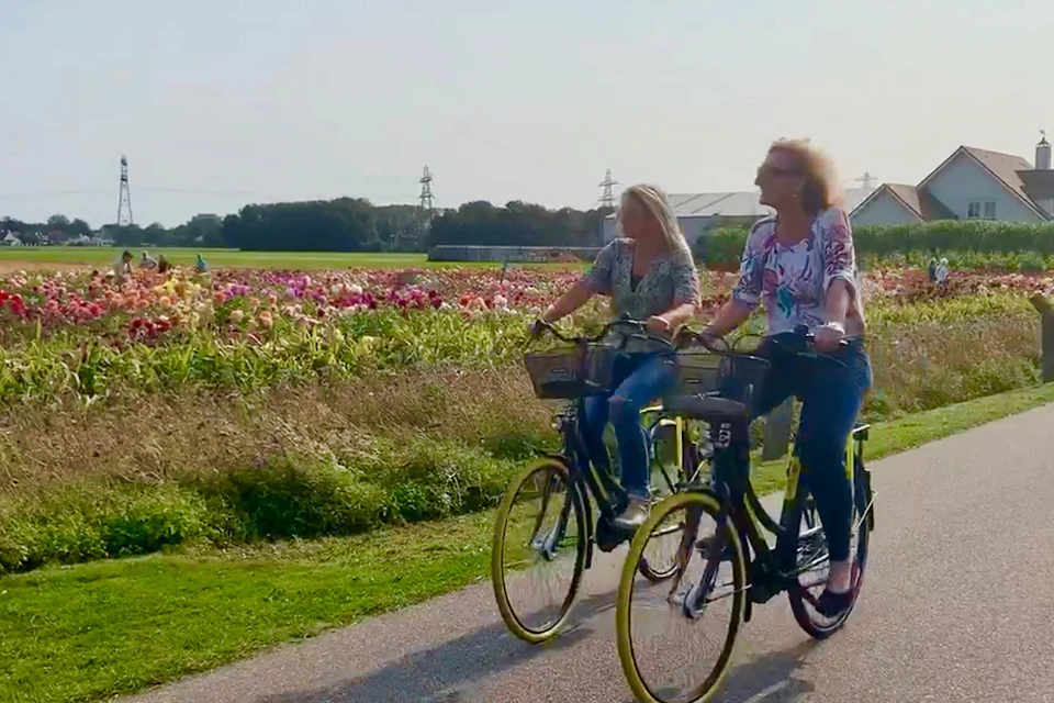 Cycling along the Dahlia Garden
