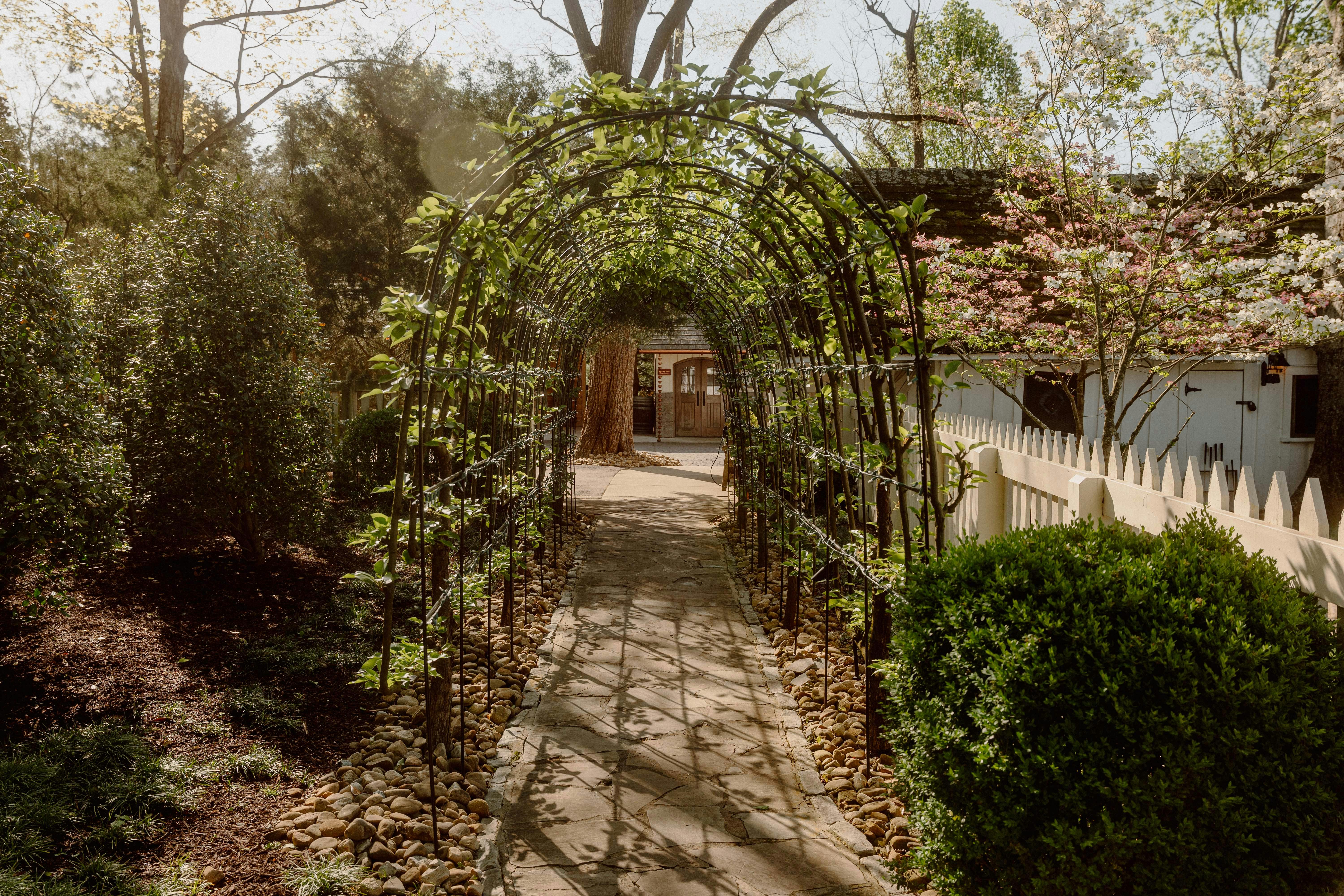 Zahradní oblouk pokrytý zelenou révou, vedoucí k cestě lemované stromy s dřevěnou kůlnou v pozadí.