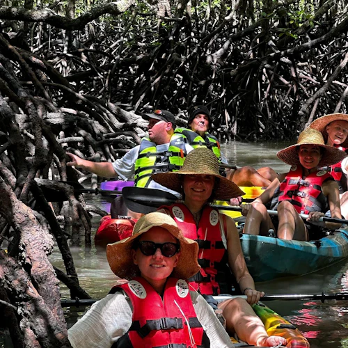 Paraíso 101 Langkawi: Passeio de barco e caiaque guiado pelo manguezal de Kilim - Photo 8