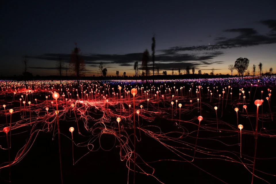 Field of Light