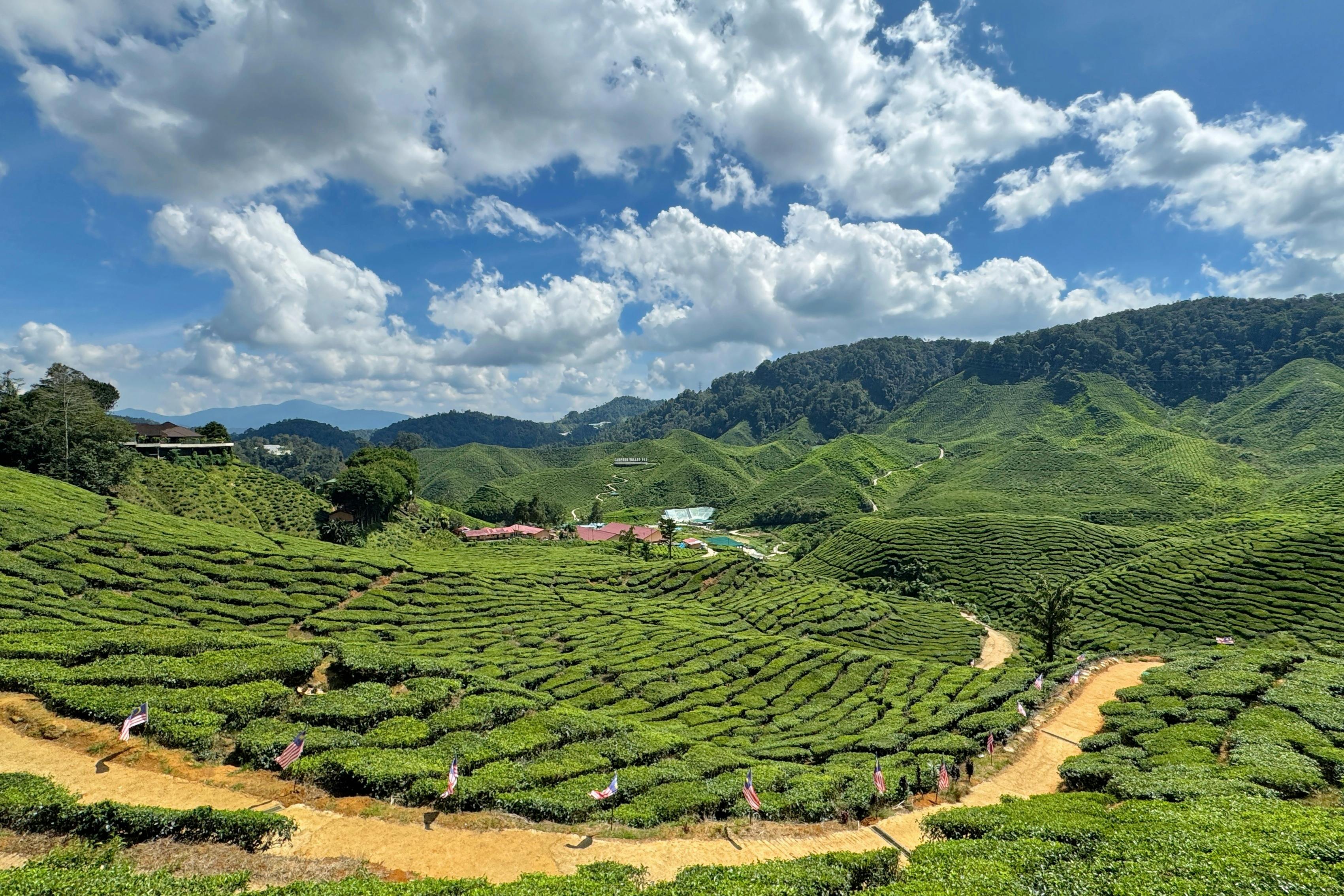 吉隆坡金马仑高原一日游（含午餐）