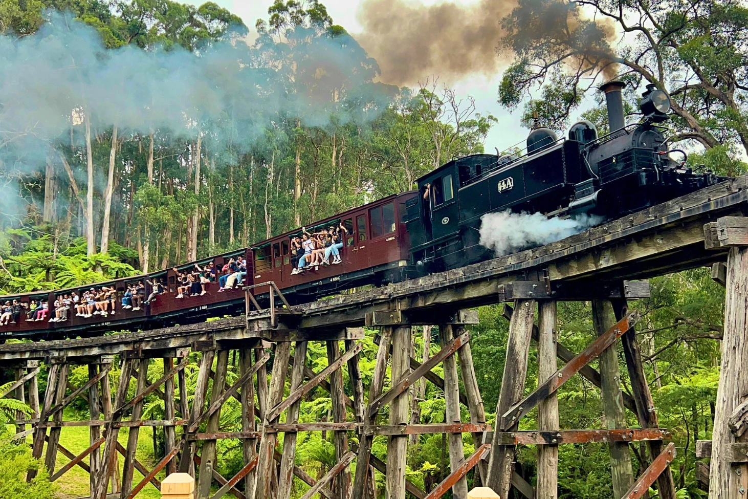 Emerald Lake Park: Guided Tour from Melbourne + Puffing Billy + Hotel Pickup