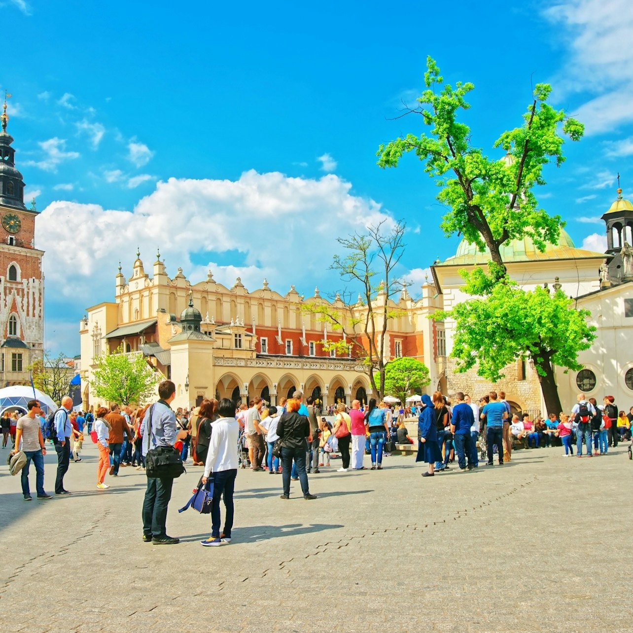 Krakow Old Town Guided Walking Tour - Accommodations in Krakow