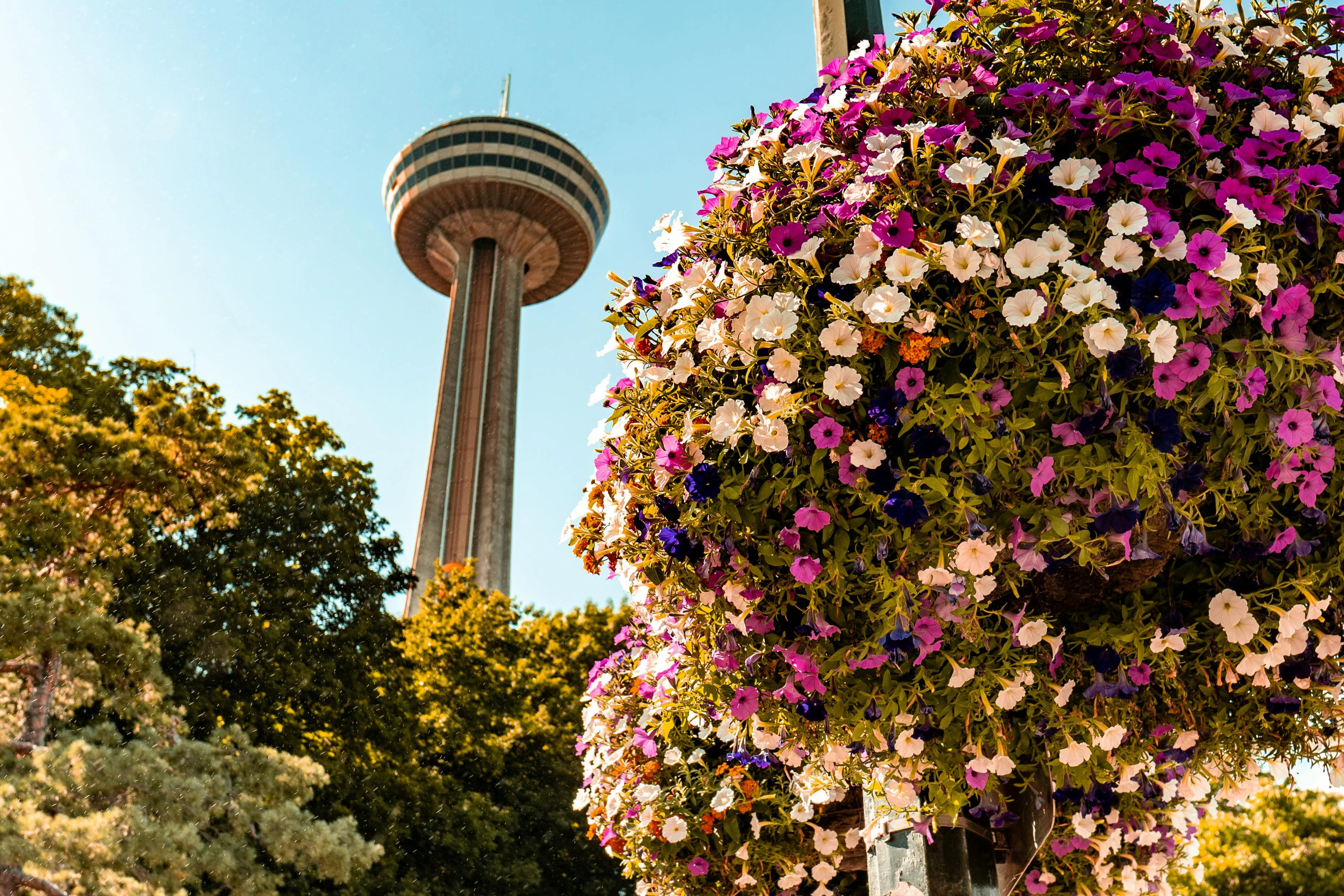 Niagara Falls: Guided Tour with Boat Cruise, Cave of the Winds & Skylon Tower