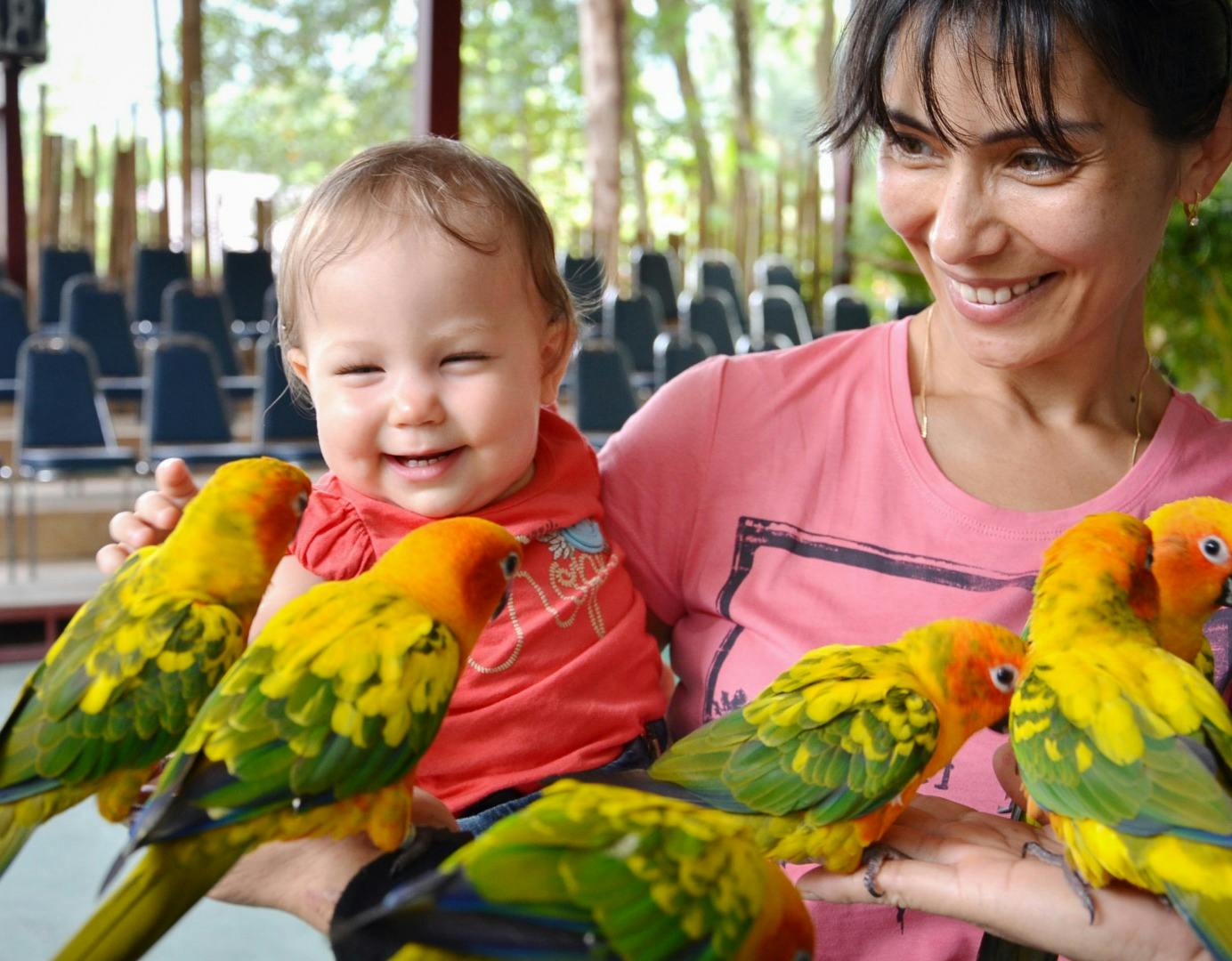 A woman holding a smiling baby surrounded by colorful parrots in an outdoor setting.
