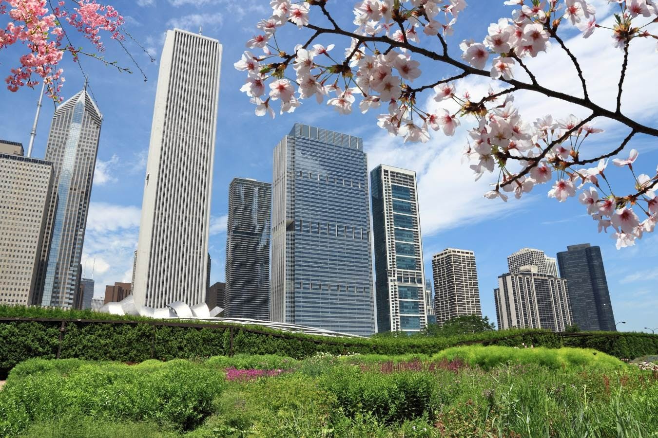 Chicago Millennium Park: Selbstgeführter Spaziergang — 4