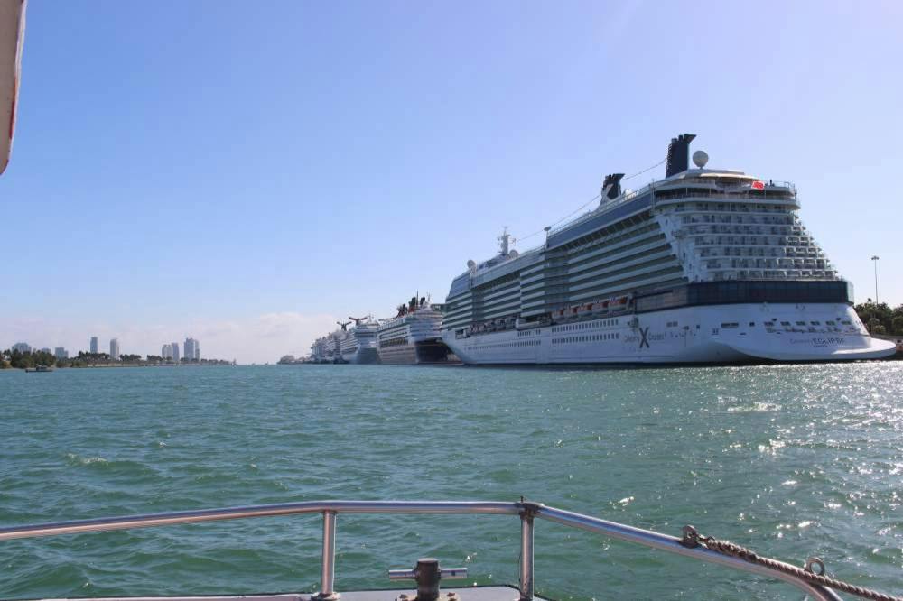 A row of large cruise ships docked at a harbor under a clear blue sky, with a boat's railing visible in the foreground.