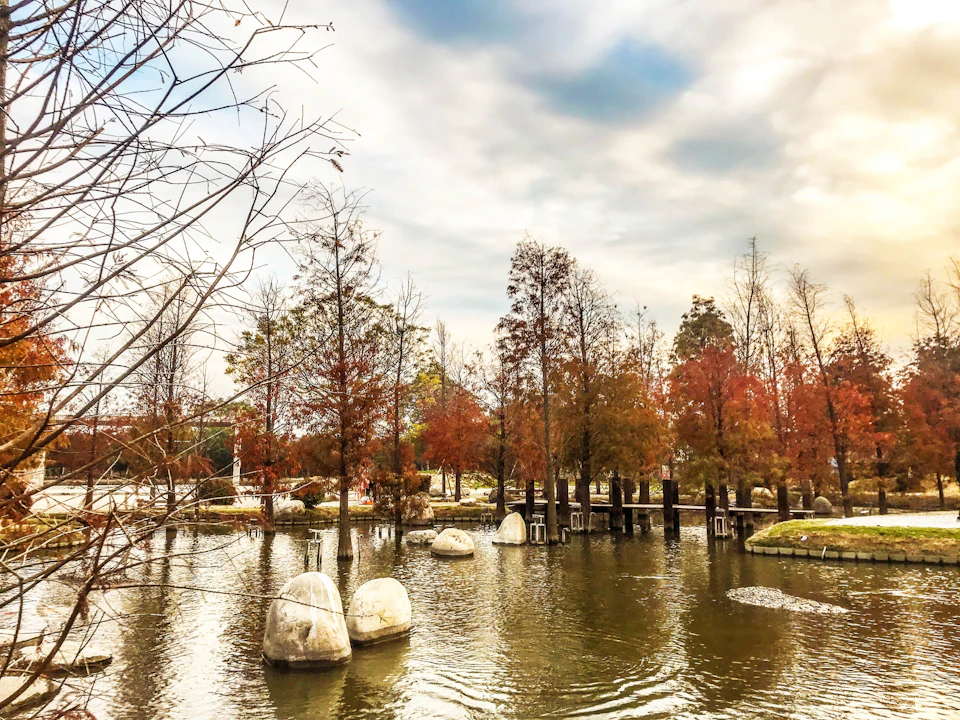A serene park scene with a pond, autumn trees, and scattered white stones in the water under a cloudy sky.