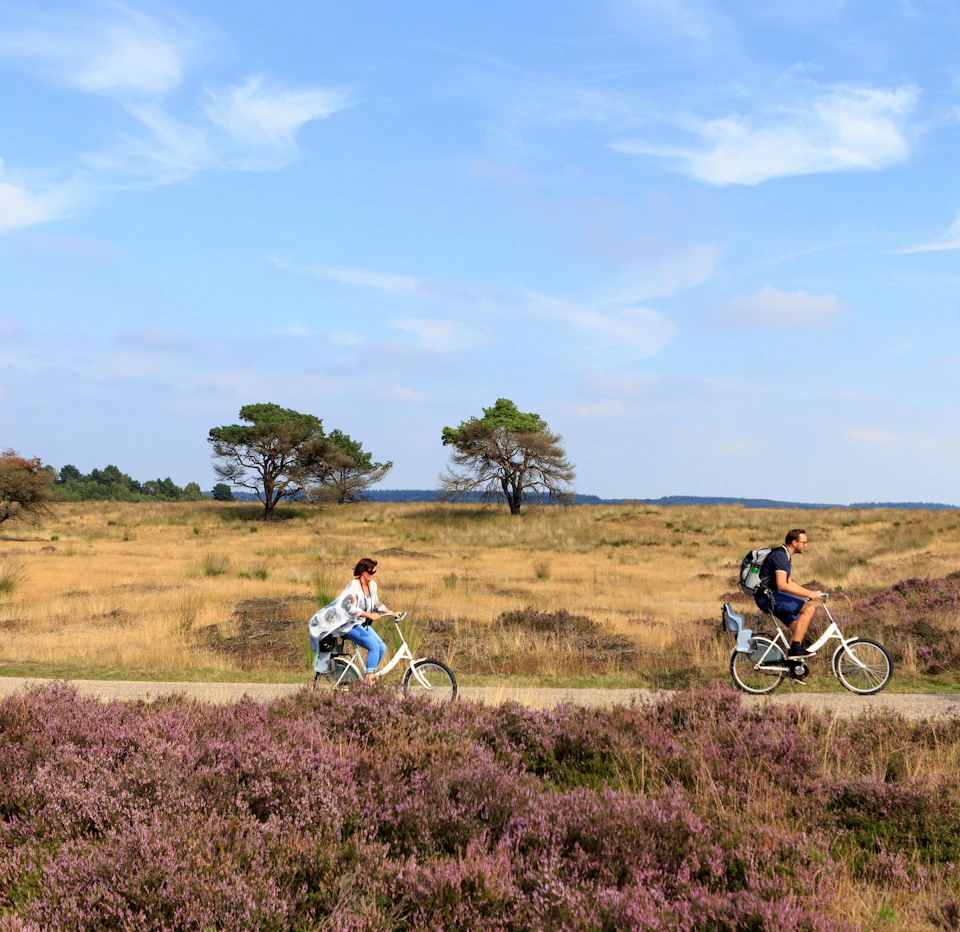 Two people cycling on a path through a scenic grassy field with lavender and sparse trees under a blue sky.