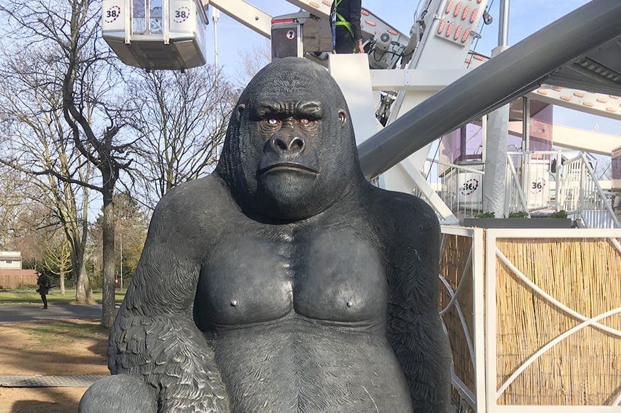 Photocopying on the giant wheel