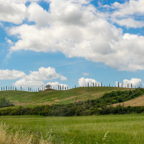 Pienza, Montalcino e Monteriggioni: Transporte de autocarro a partir de Florença - Photo 5