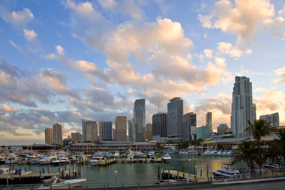 Gray Line Miami