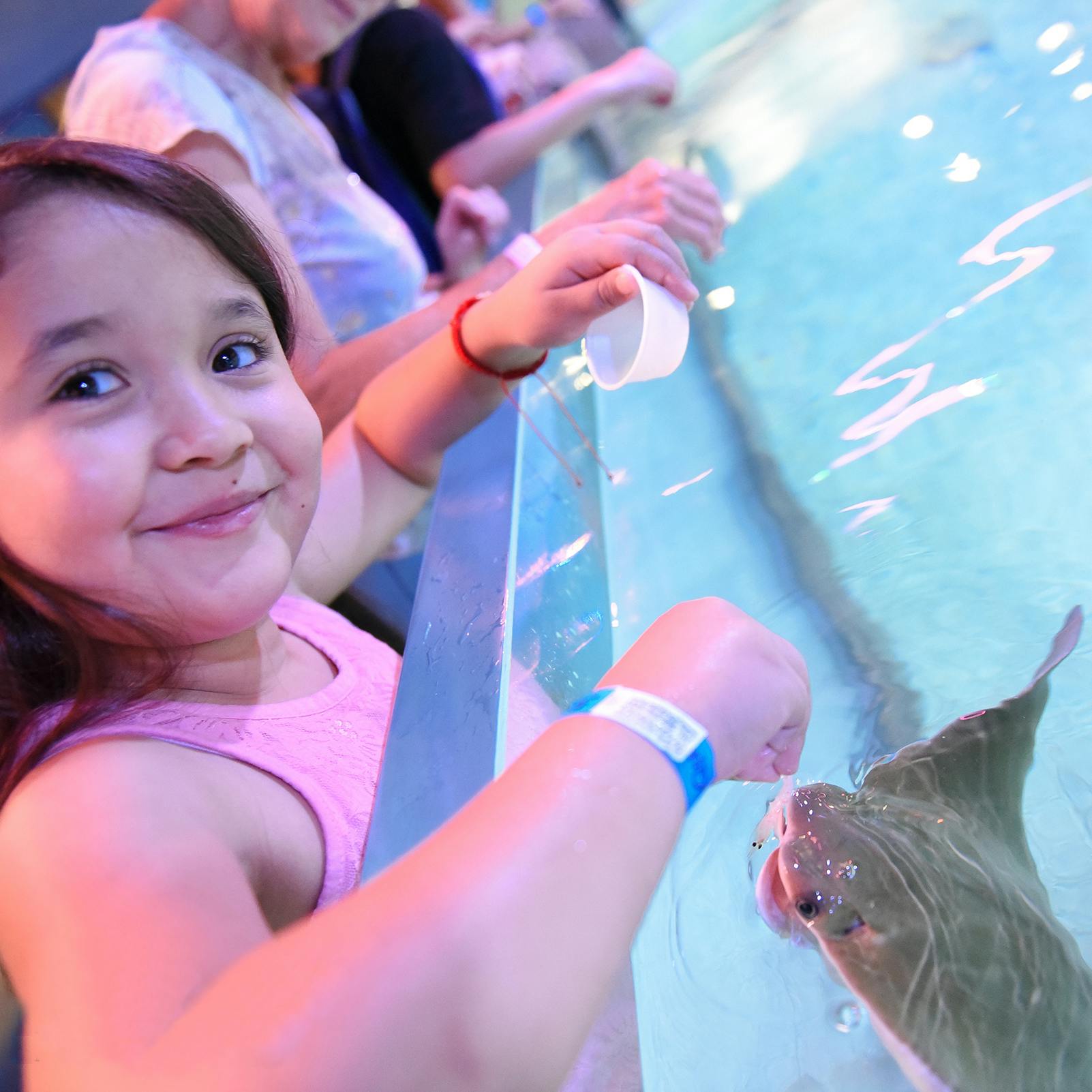 SeaQuest Woodbridge