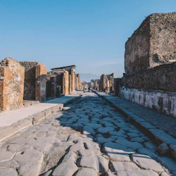 Pompeii: Skip The Line Ticket + Roundtrip from Naples + Audio Guide 5