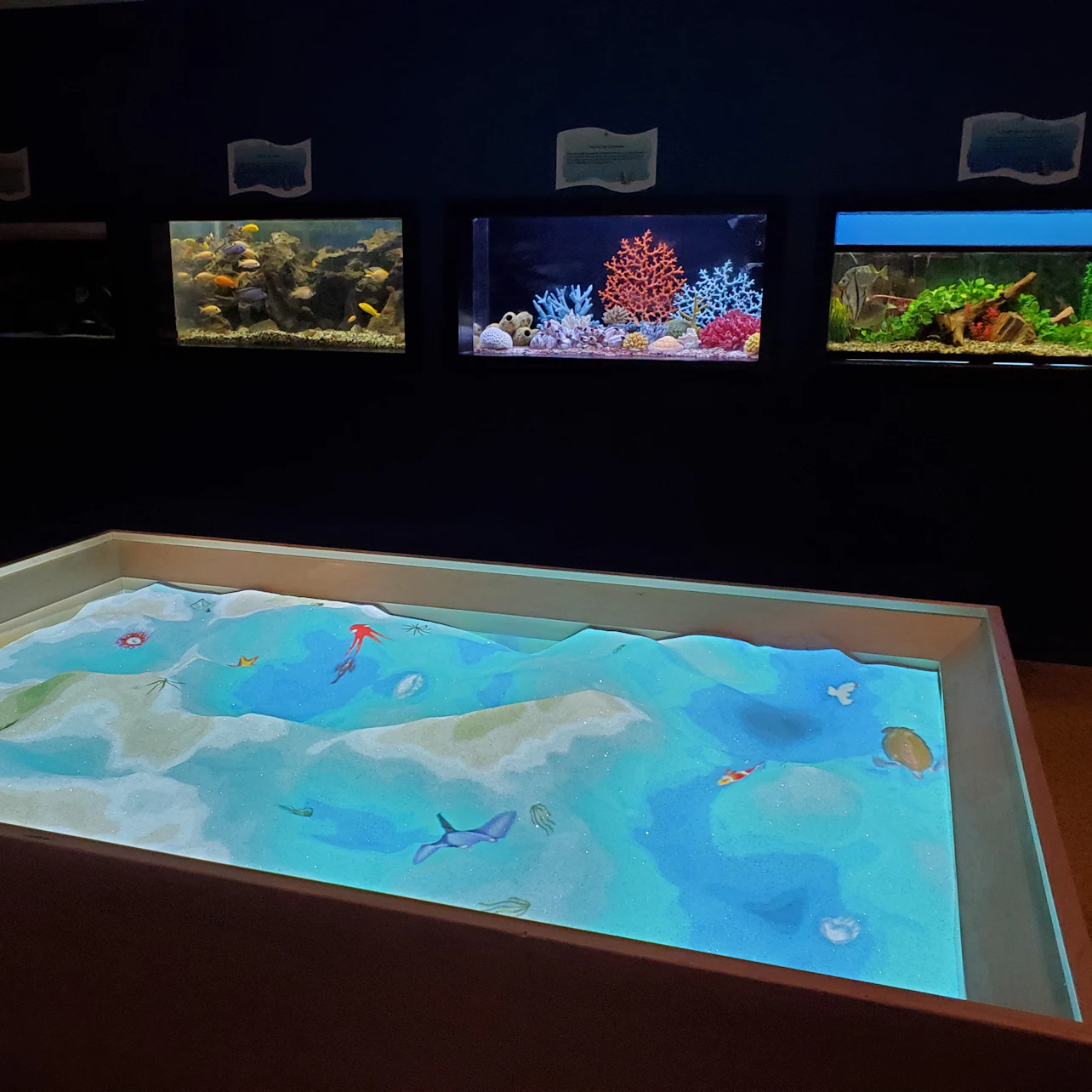 Las Vegas Natural History Museum: Entry Ticket in Las Vegas β Tiqets