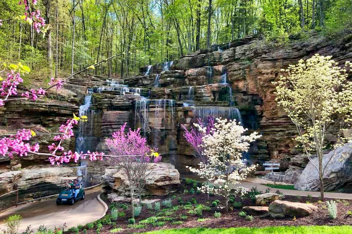 A scenic waterfall cascading over layered rocks surrounded by blooming trees and greenery, with a pathway and a golf cart nearby.