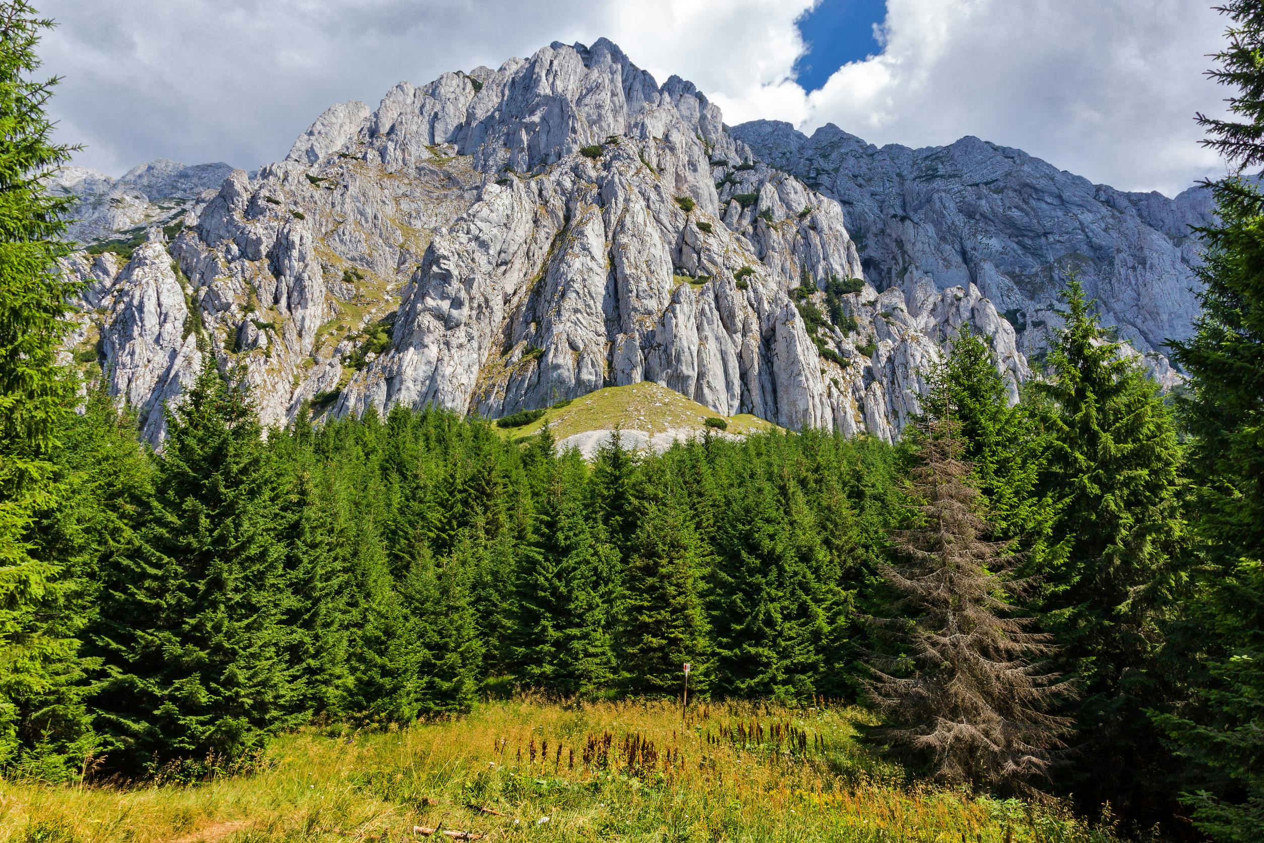 落基山脉，部分多云的天空下有绿色的针叶林。