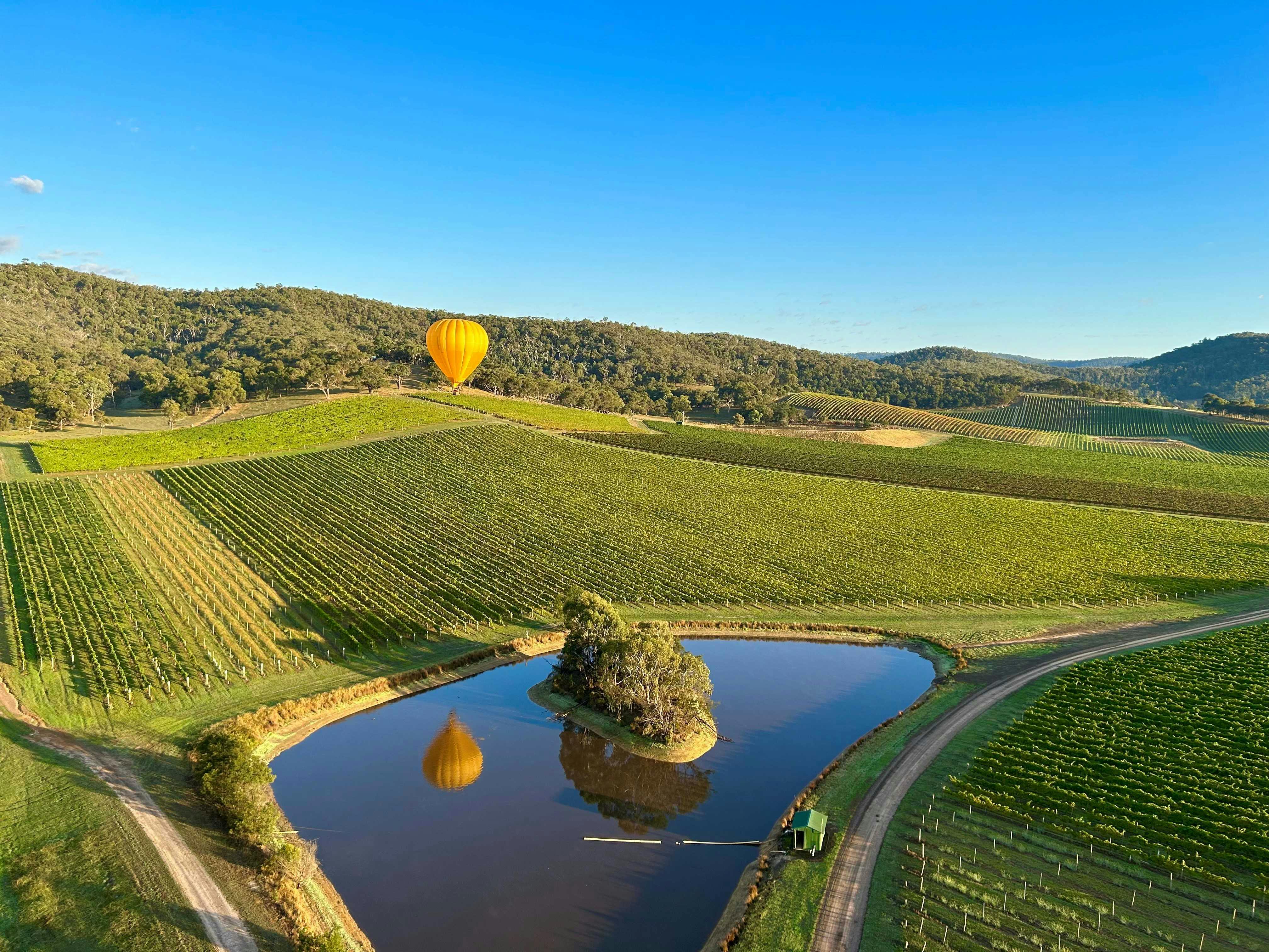 A yellow hot air balloon floats over green vineyards with a reflective pond and small island in the foreground under a clear blue sky.
