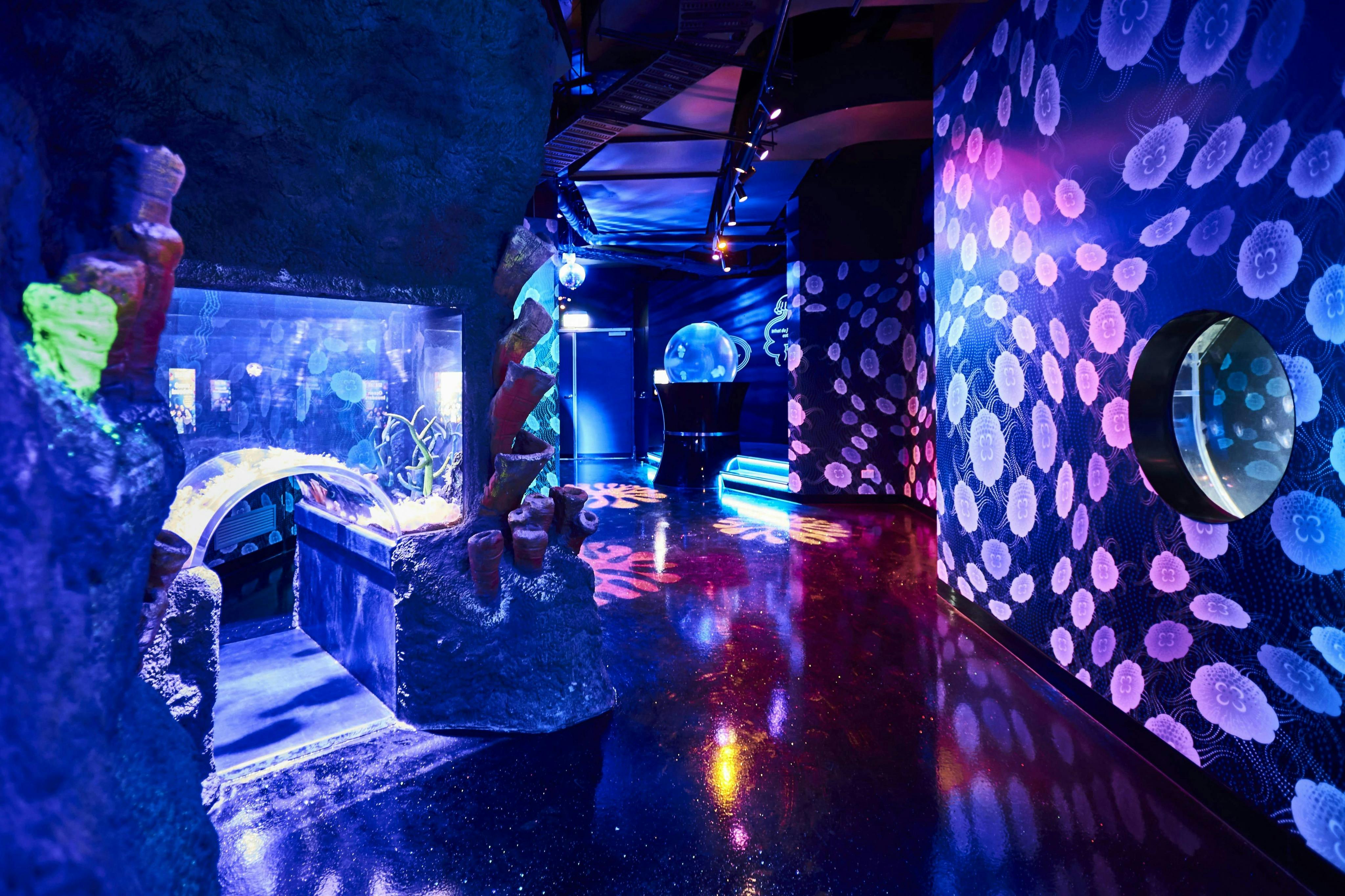 Acquario SEA LIFE Melbourne: Biglietto salta-coda (Prodotto B2B) — 3