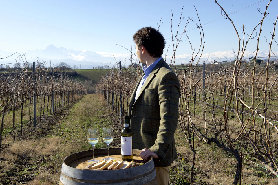 A man standing by a barrel with wine glasses and snacks, looking at a vineyard with leafless vines and mountains in the distance.