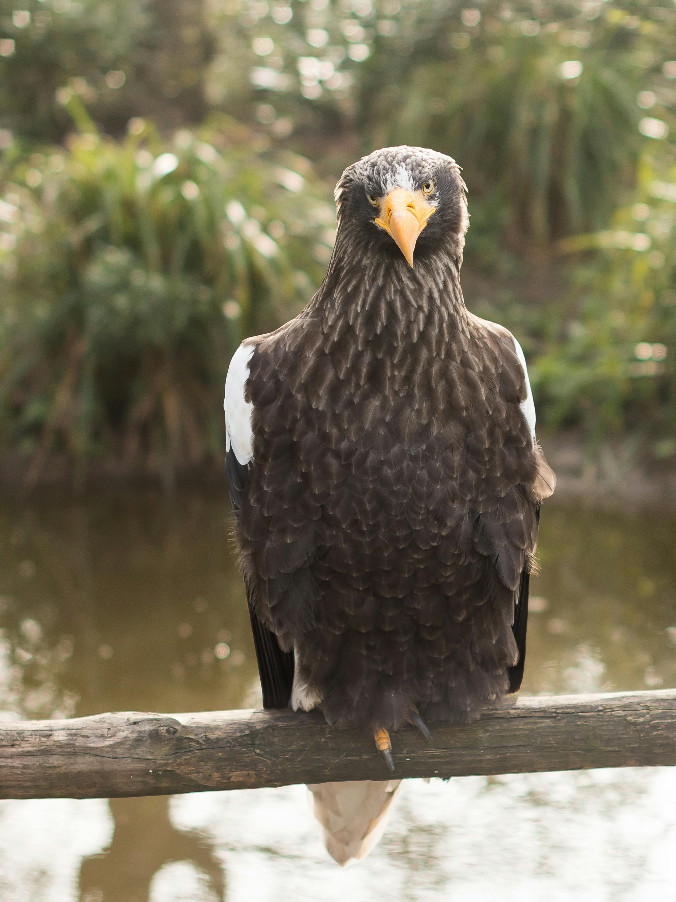 Rotterdam Zoo: Skip The Line Ticket