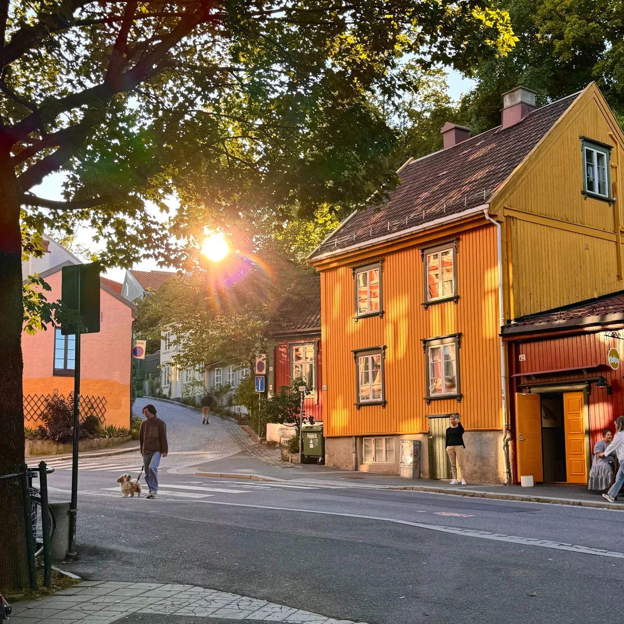 Oslo: Guided Walking Tour + Lunch + Tram Ticket in Oslo – Tiqets