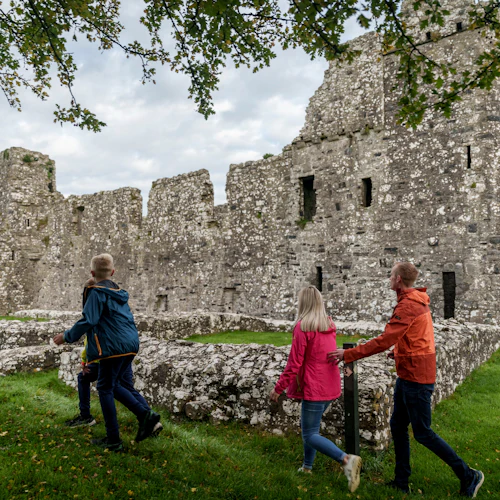 Celtic Boyne Valley & Ancient Sites: Day Tour from Dublin - Photo 13