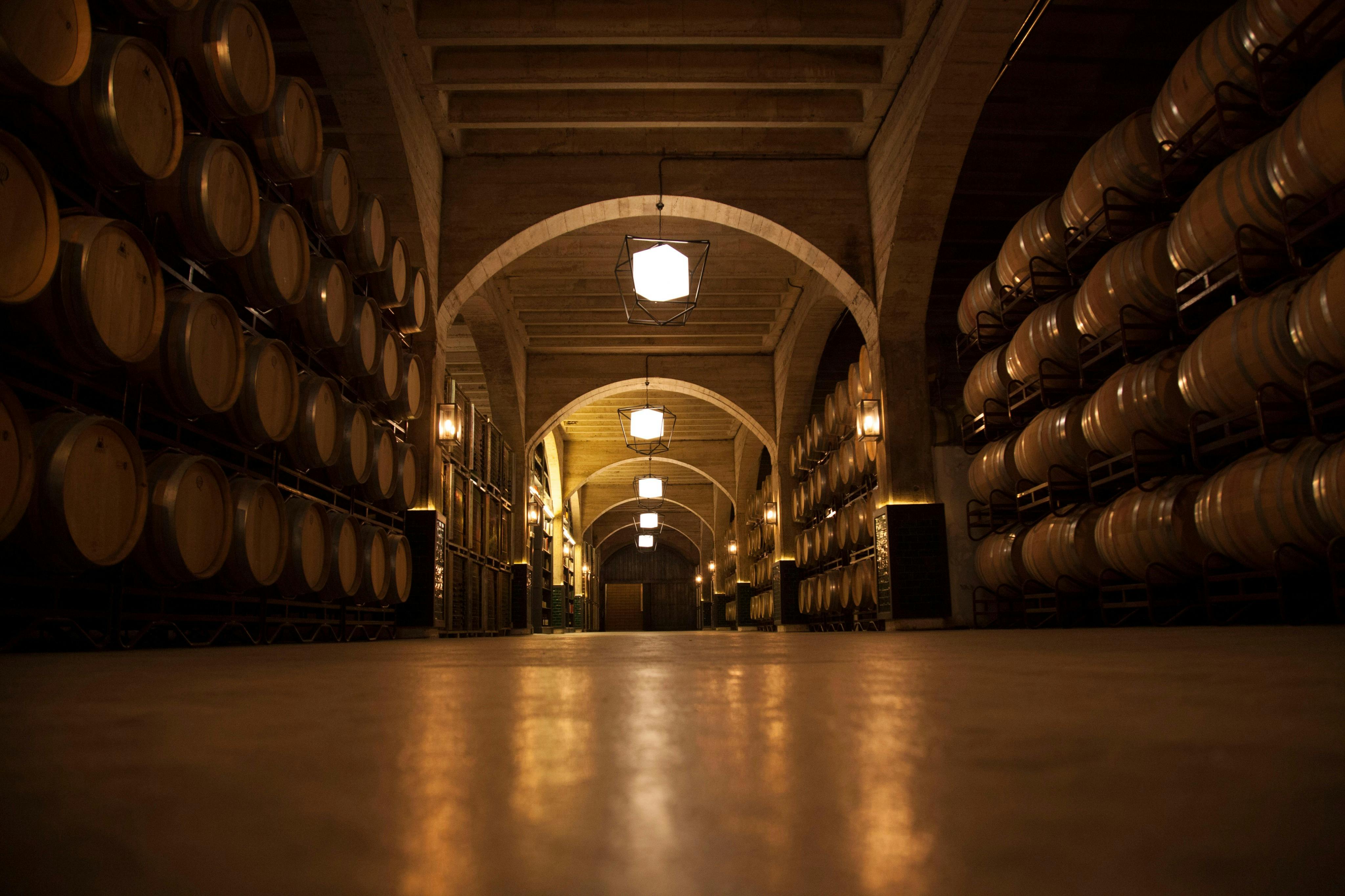 Guided visit to a literary winery in Rioja with wine tasting and appetizer