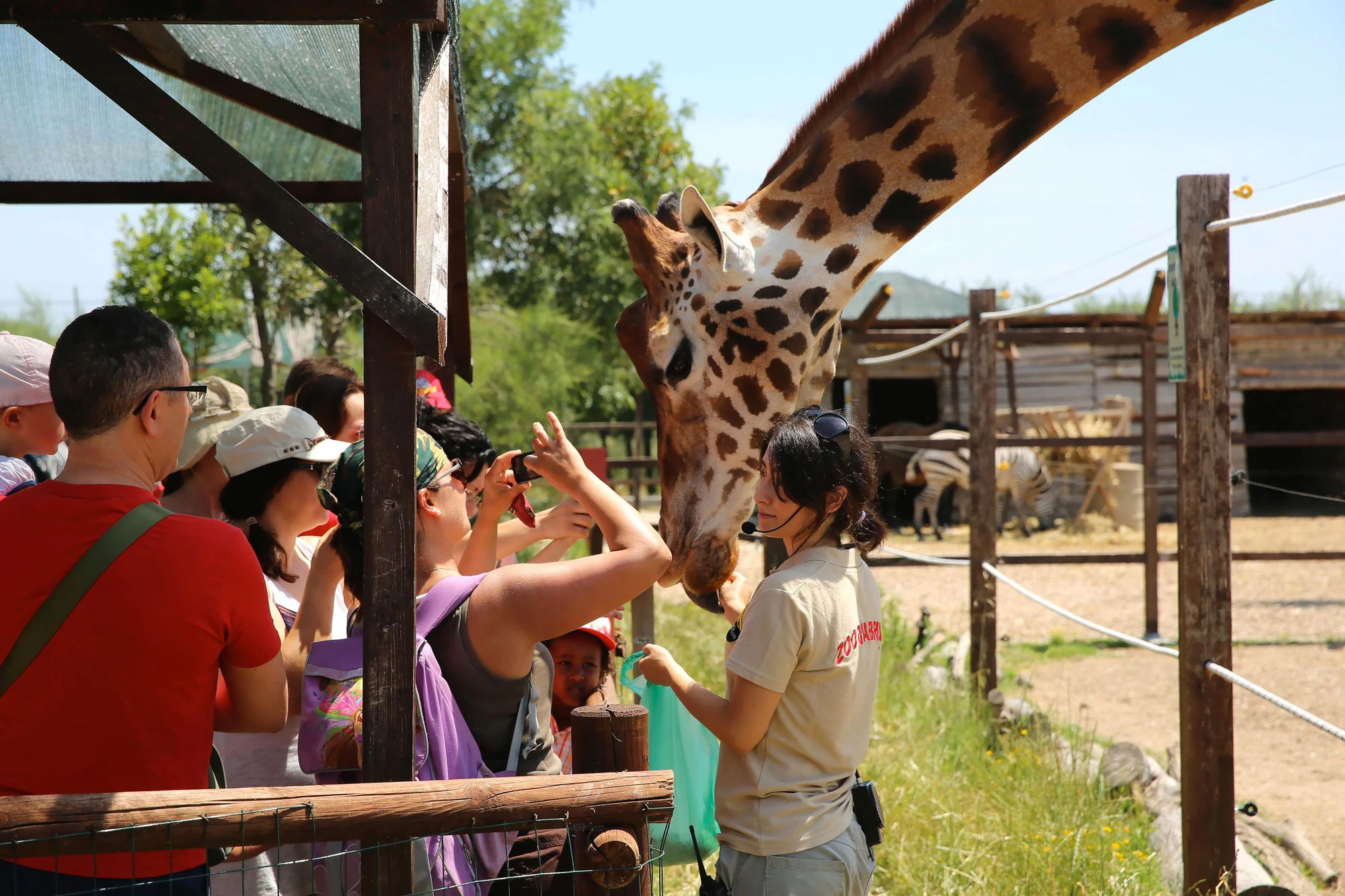 Abruzzo Zoo: Entry Ticket
