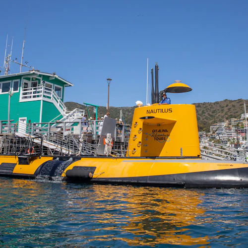 Los Angeles: Semi-Submarine Excursion from Catalina Island