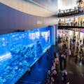 Dubai Aquarium & Onderwaterdierentuin