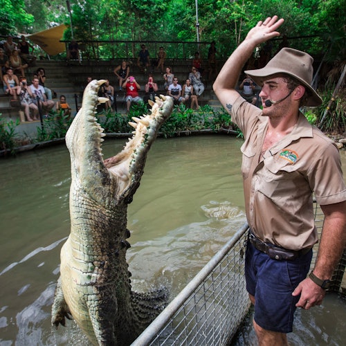 Hartley's Crocodile Adventures desde Cairns