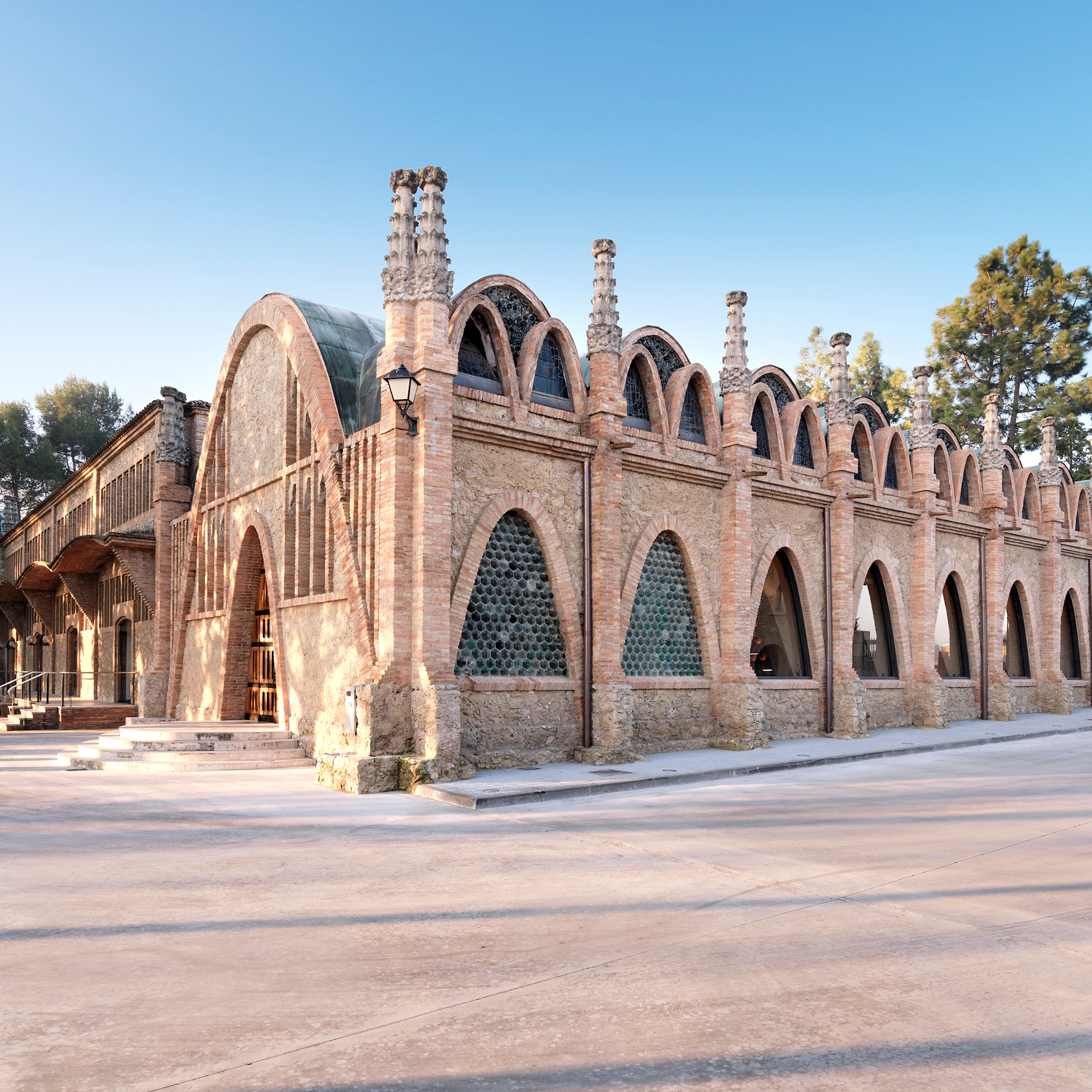 Celler Codorníu: Visita guiada + Degustació de cava i aperitius