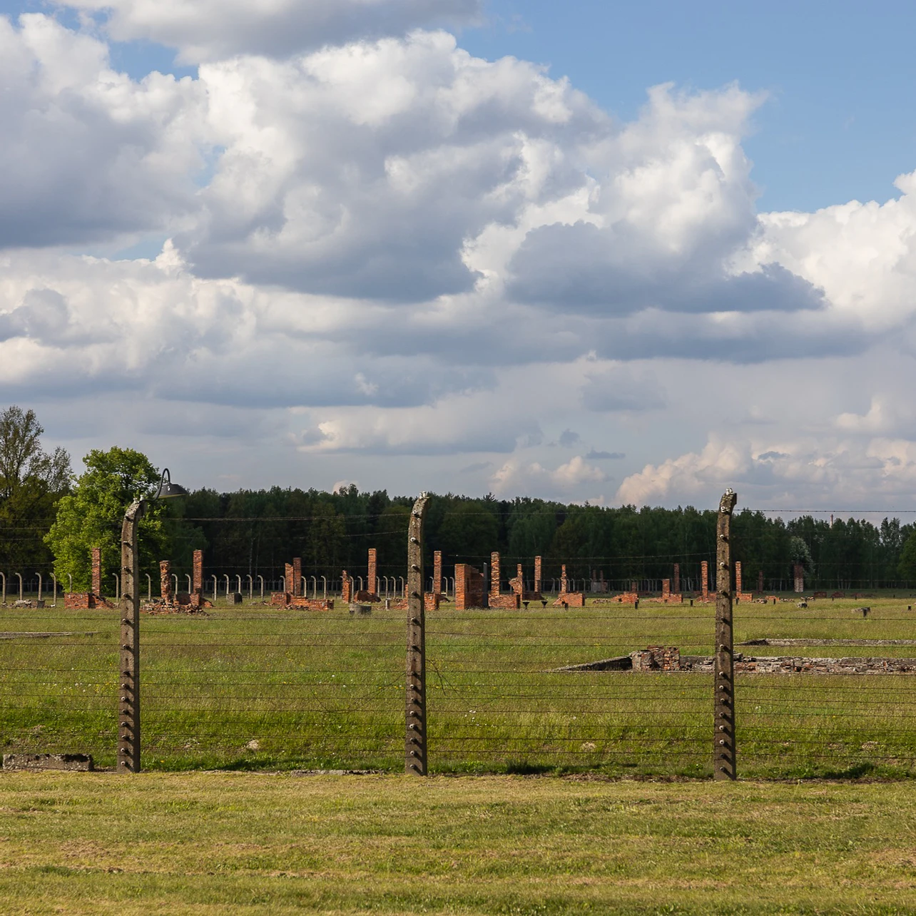 Auschwitz-Birkenau: Guided Tour + Transport in Krakow β Tiqets